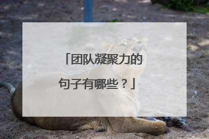 开云体育娱乐-关于英雄联盟队精神状态好，团结一致共同进步的信息