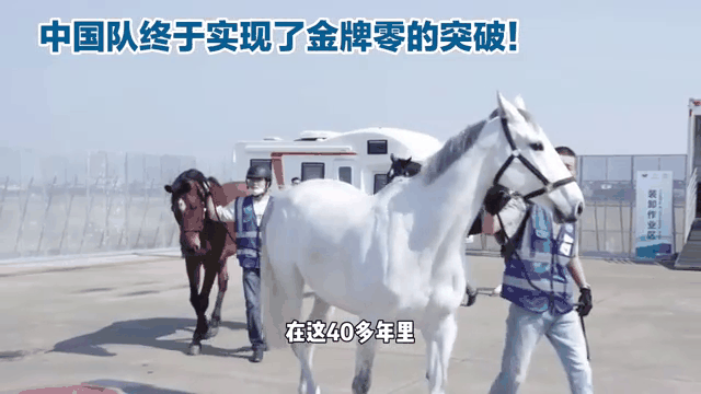 开云体育平台-卢森堡名将在马术比赛中斩获金牌